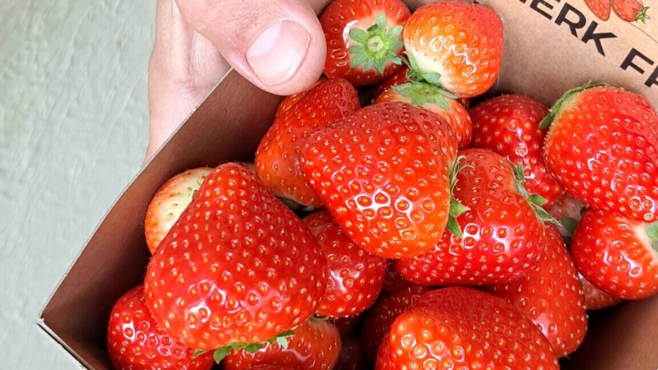 like je wijk vreewijk aardbeien sparrendaal lief en leed potje