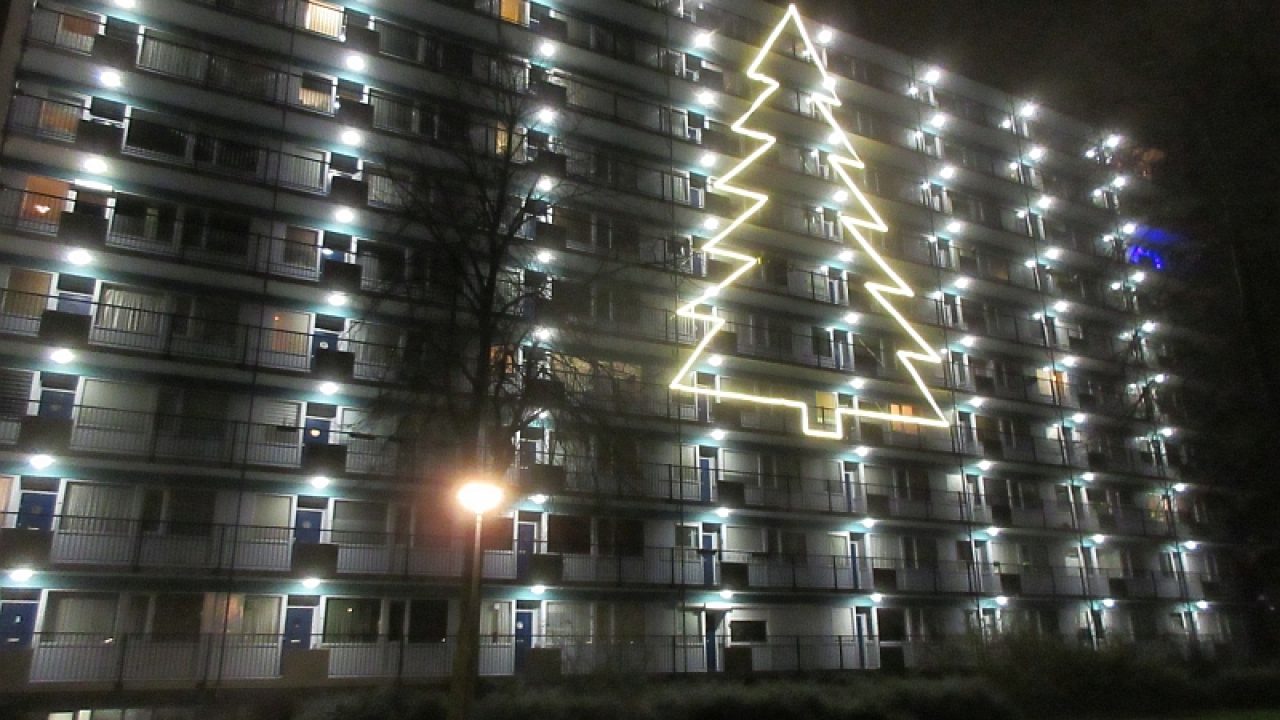De-grootste-kerstboom-van-Rotterdam-Hoofdafbeelding-LikeJeWijk-Bmzrr