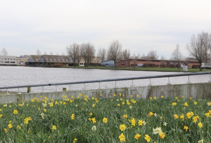 Schoolgebouw aan het Böttgerwater