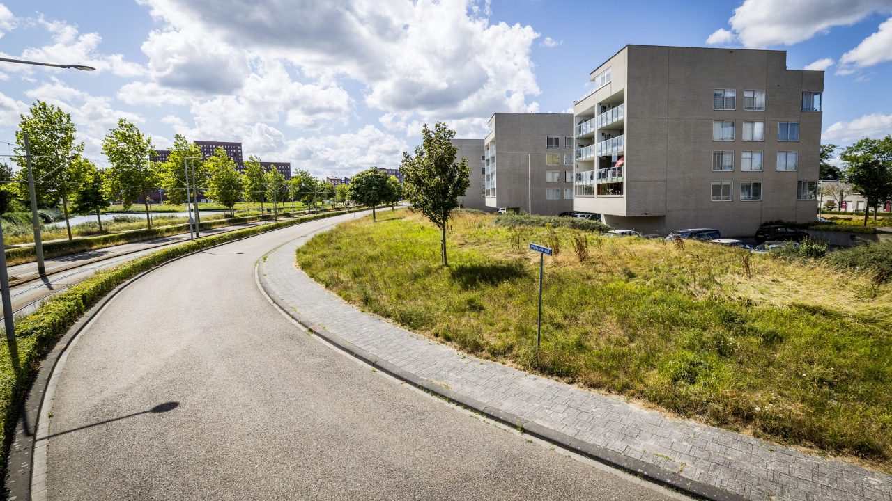 Reigersbergenweg in wijk Mariahoeve in stadsdeel Haagse HoutPijlkruidveld in Leidschenveen
