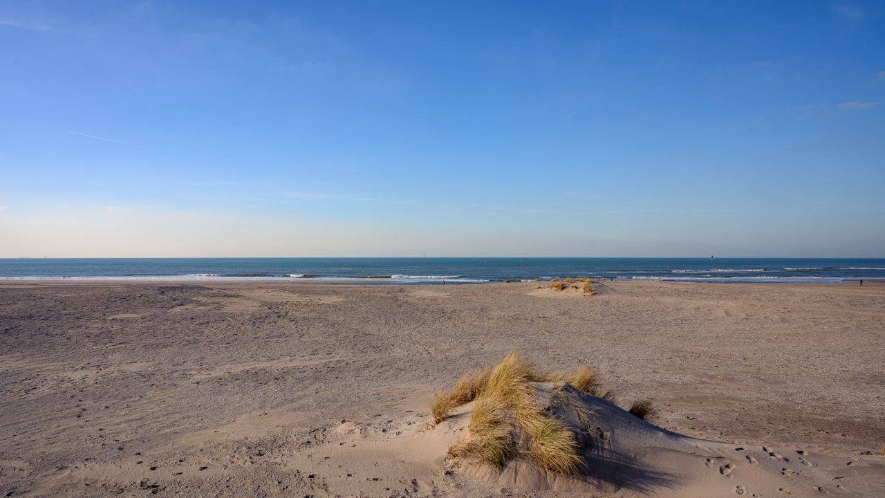 2023 06 09 FOT, kom naar de groene kar 2, collectie Natuurlijk Delfland