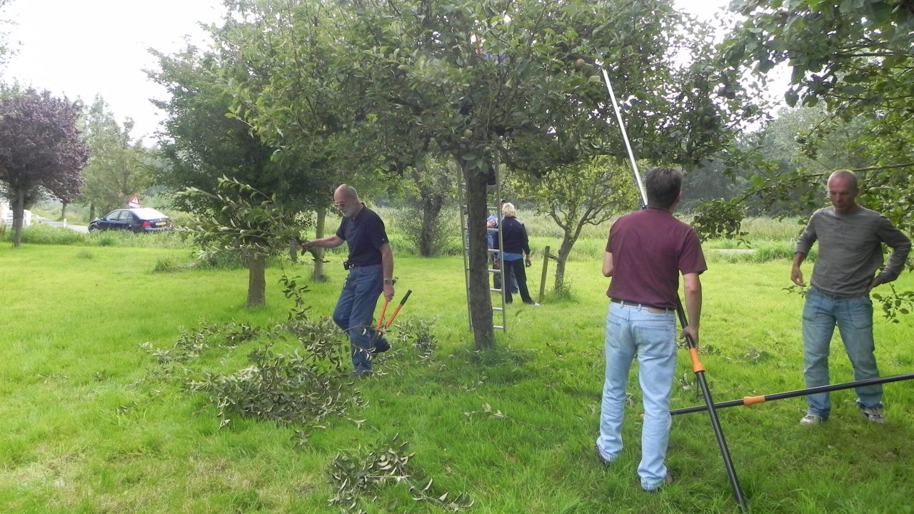 2025 07 19 FOT workshop Snoeien, collectie Natuurlijk Delfland