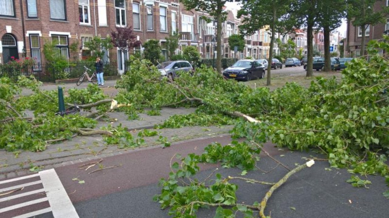 Boetzelaerlaan-WA0004