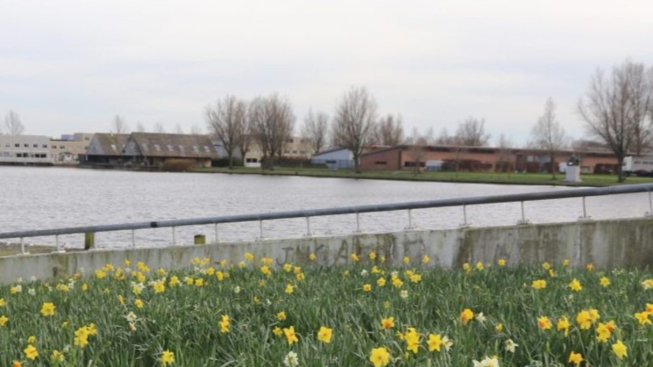 Schoolgebouw aan het Böttgerwater