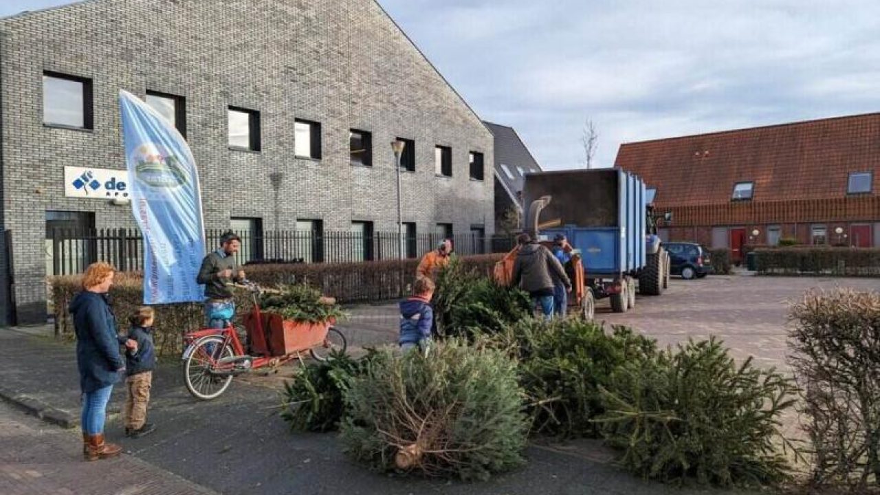 DB-vuurwerk_kerstboominzameling4