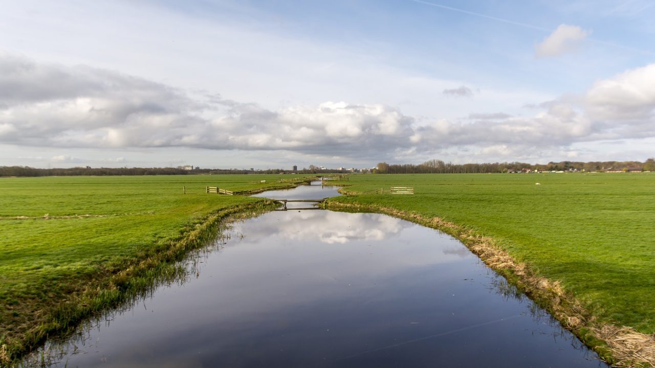 Delfland