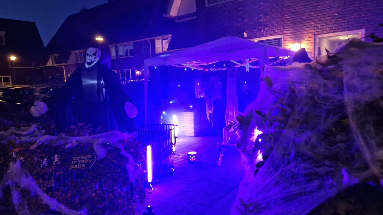 Halloween Morgenweide 2024 (51)