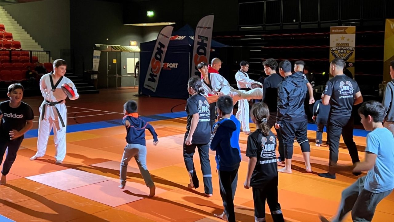 Haagse vechtsportdag