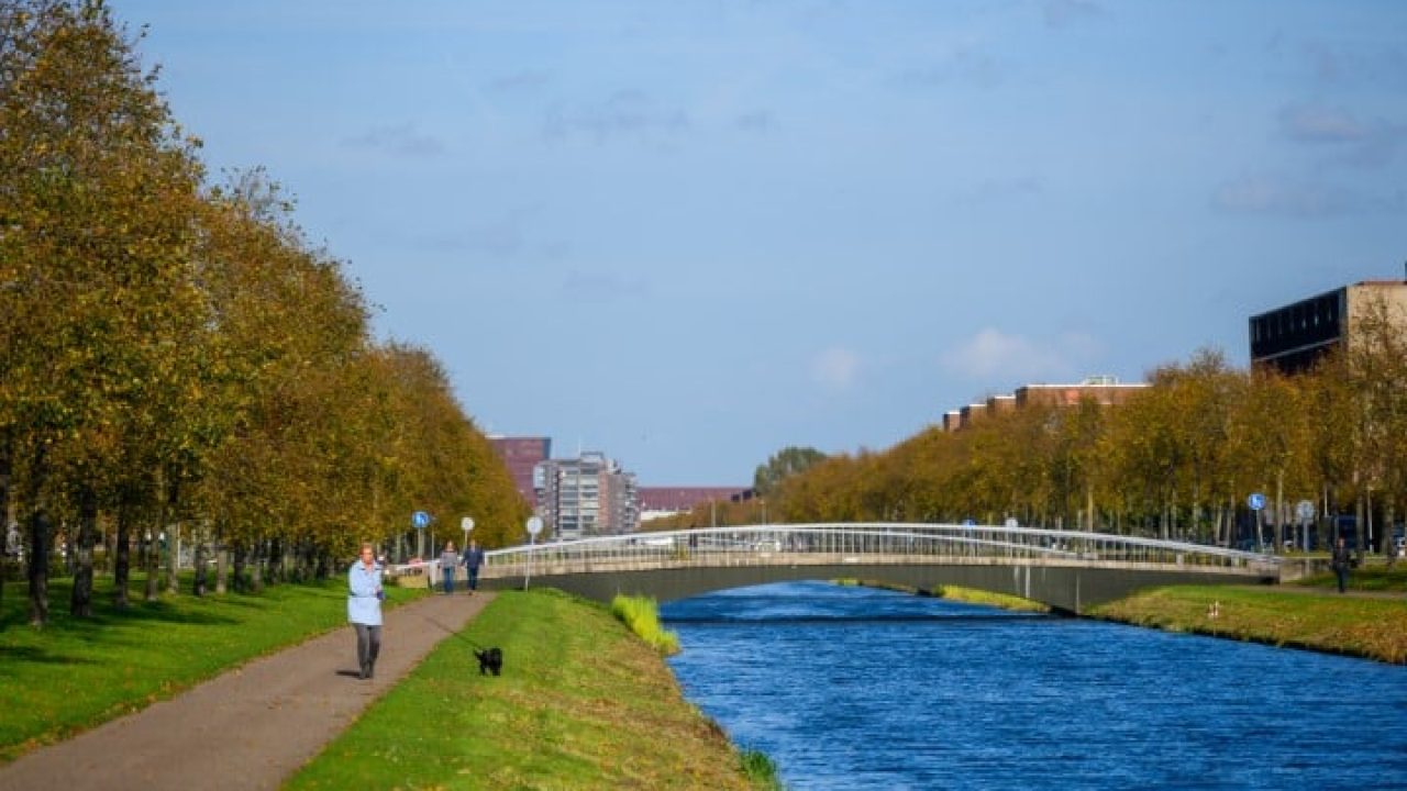 LJW toekomst LEYP in 2050 02