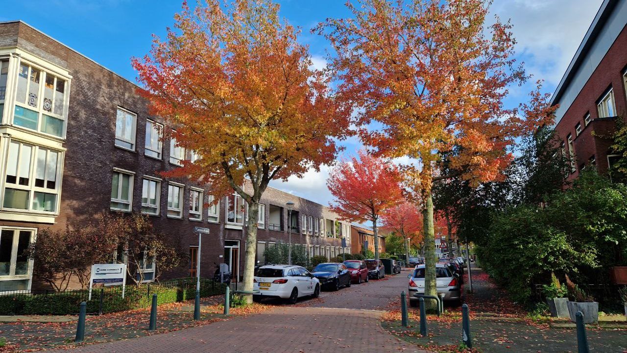 LJW_MW_herfst23