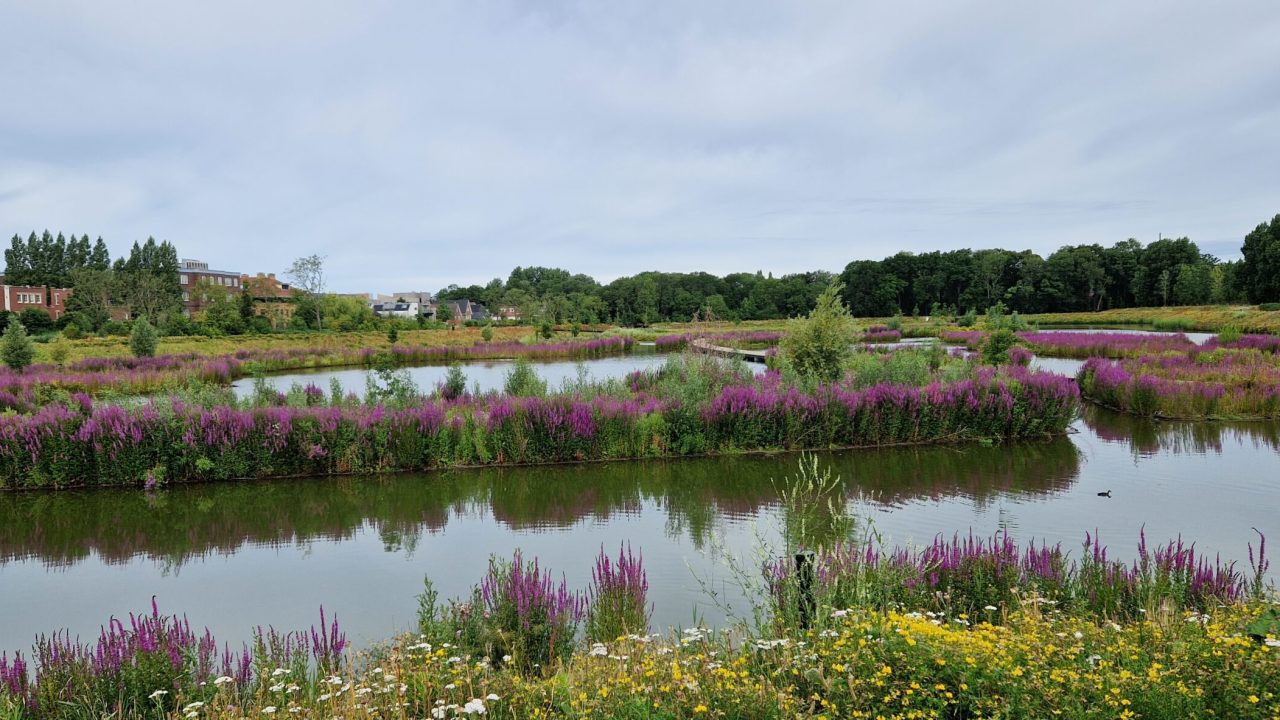 Molenvlietpark
