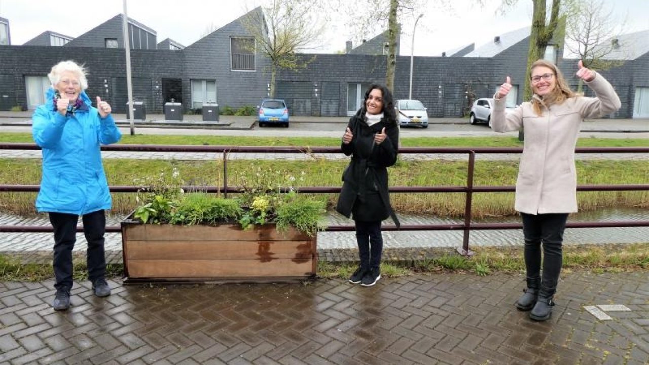 Waterwijk
