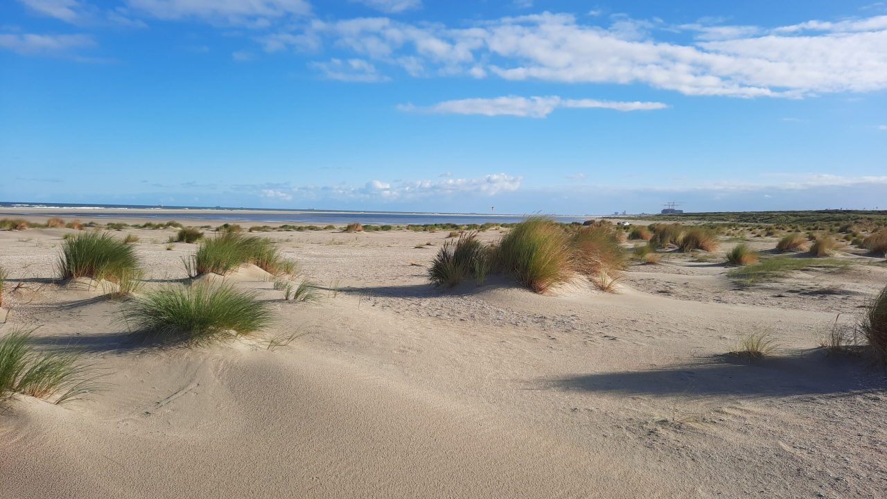 Zandmotor