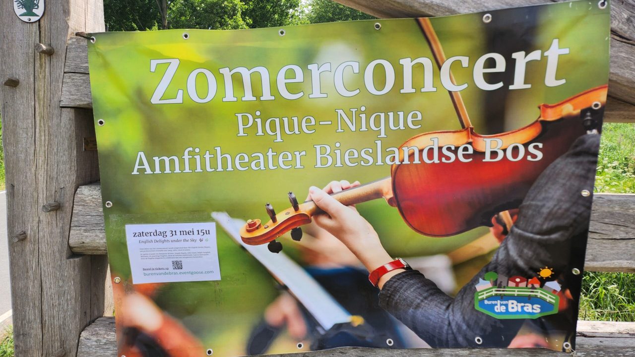 Zomerconcert De Bras (2)