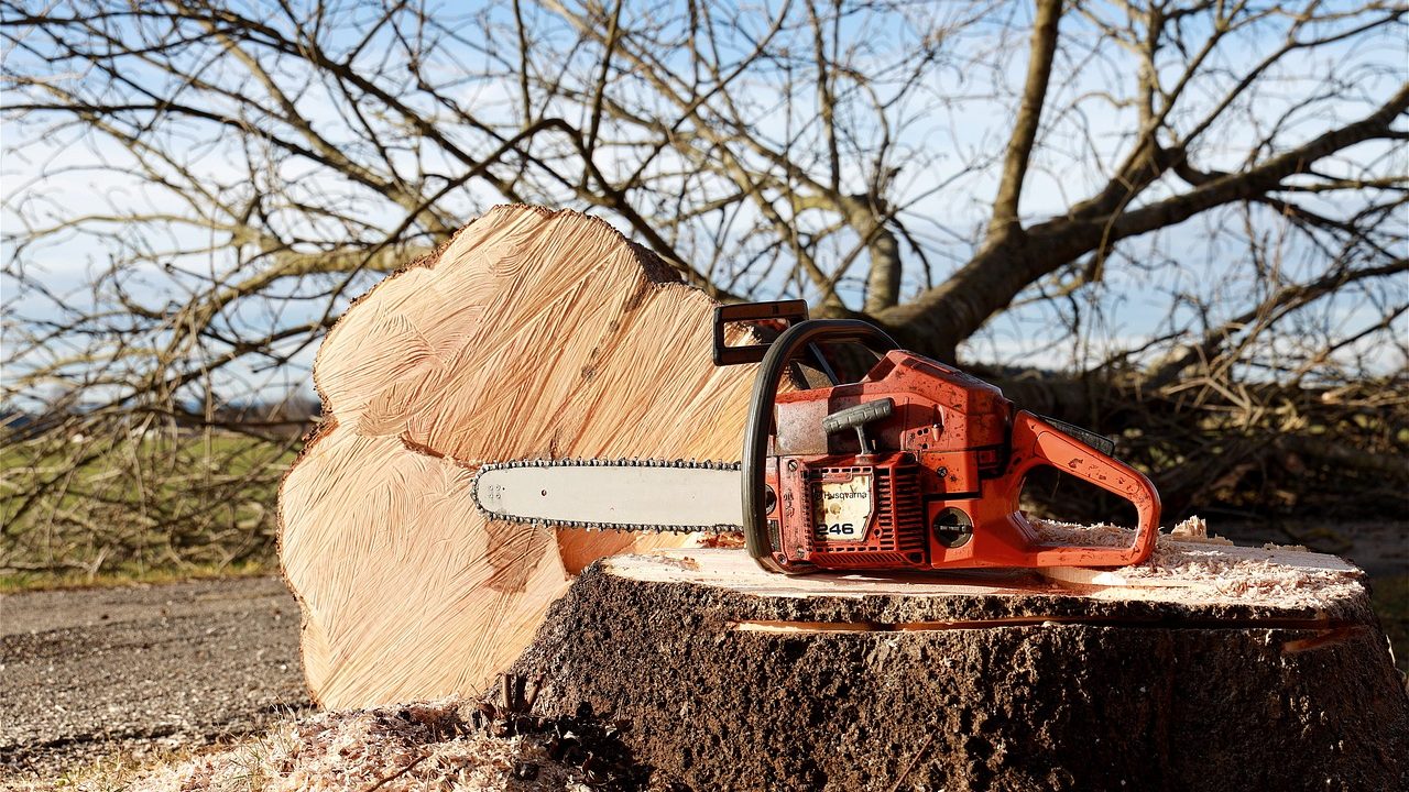 chainsaw-4815949_1280