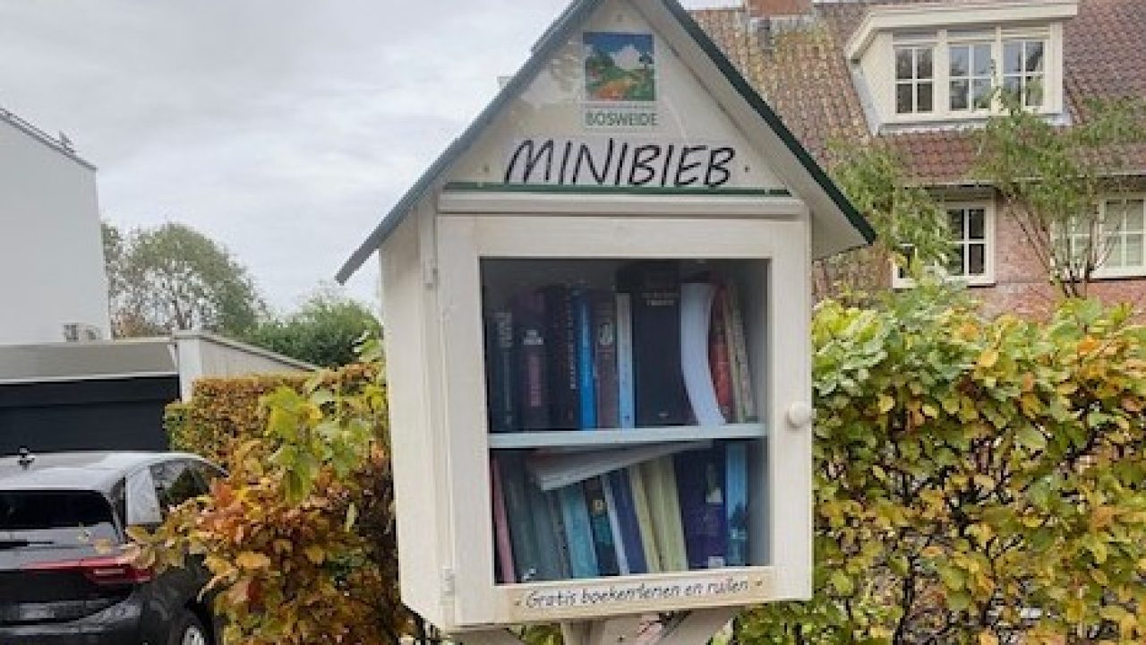 minibieb-in-cement-november-2023