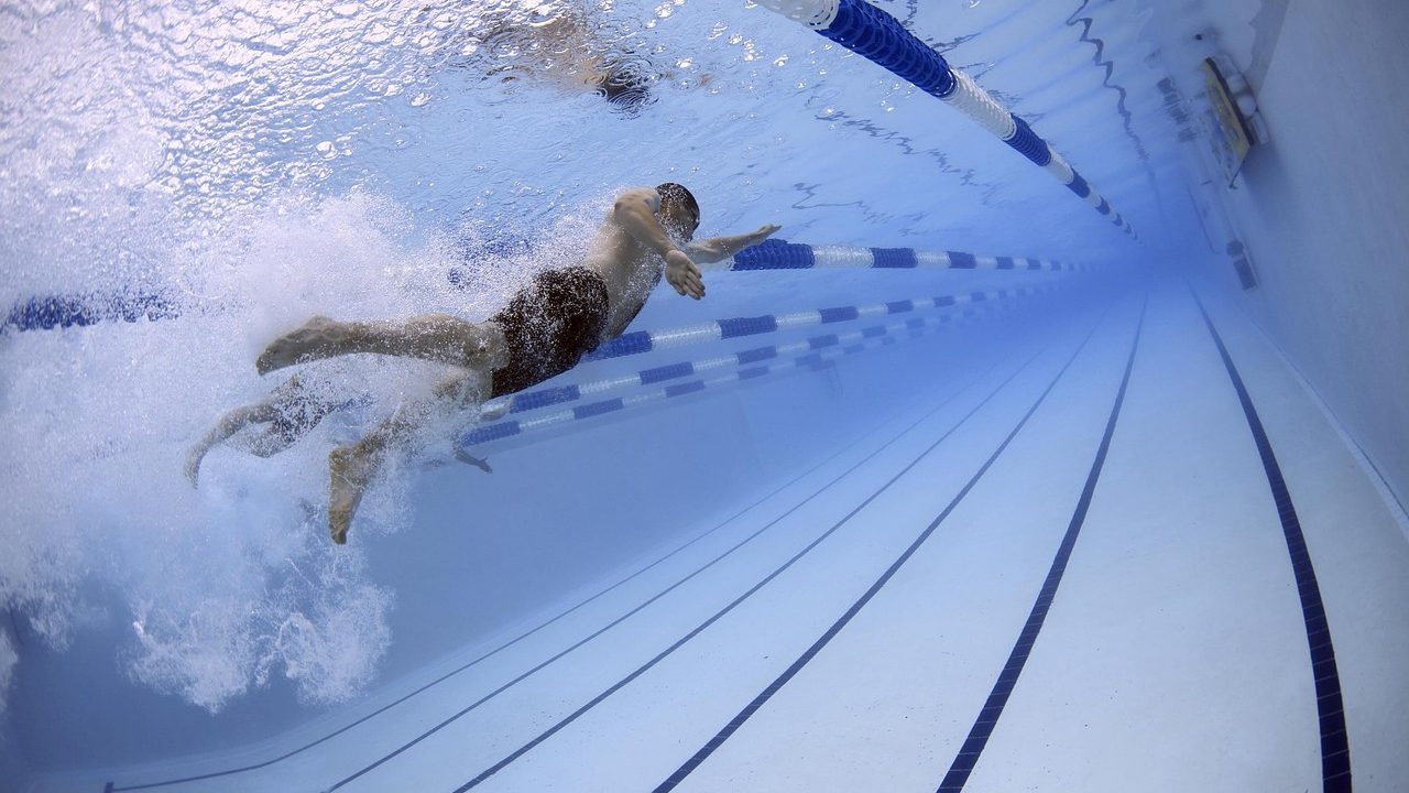 swimmers-gacd3cc5c6_1280