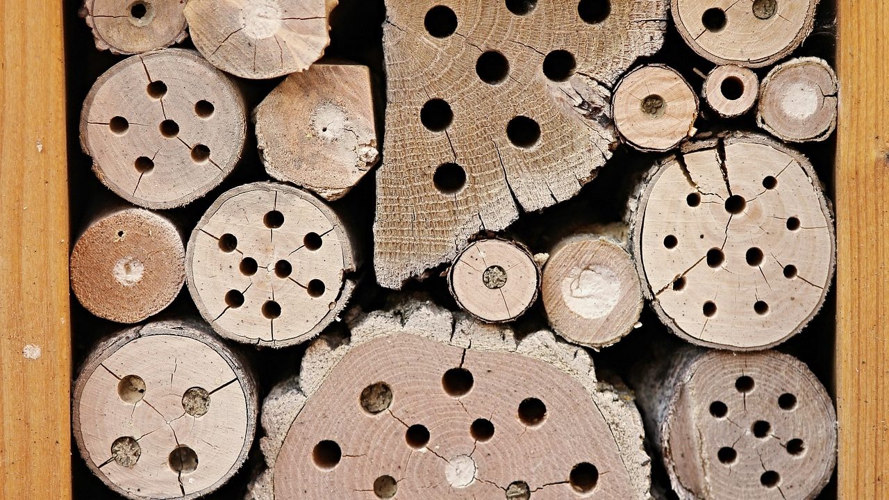 insect-hotel-gc1a144db5_1280